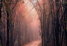 篮球明星库里成为勇士历史得分王