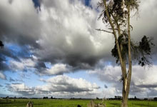 阿贾克斯逆转胜利，晋级前途光明